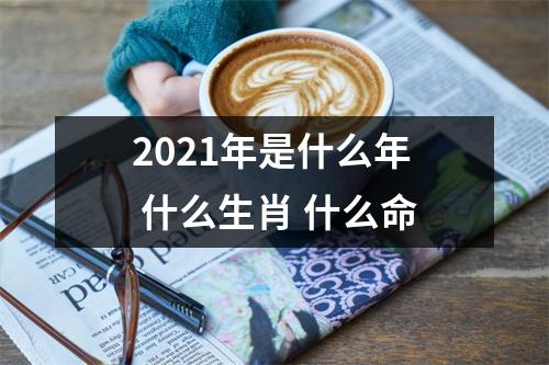 2025年是什么年什么生肖什么命