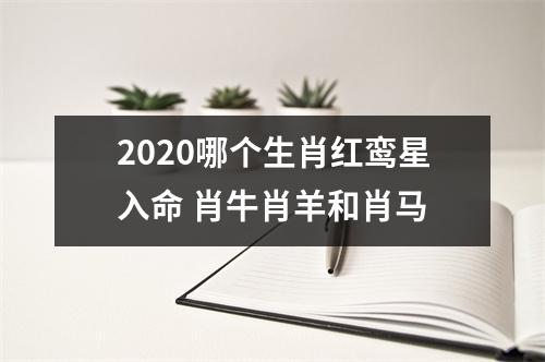 <h3>2025哪个生肖红鸾星入命肖牛肖羊和肖马