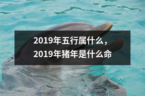 <h3>2019年五行属什么，2019年猪年是什么命