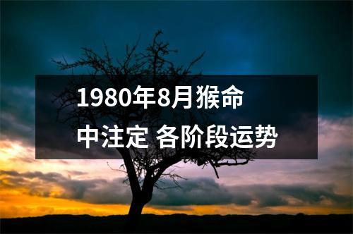 <h3>1980年8月猴命中注定各阶段运势