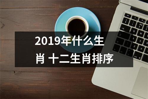 <h3>2019年什么生肖十二生肖排序