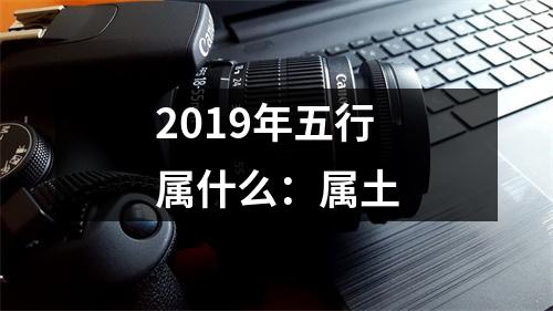 <h3>2019年五行属什么：属土