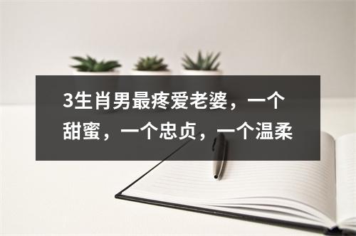 <h3>3生肖男疼爱老婆，一个甜蜜，一个忠贞，一个温柔