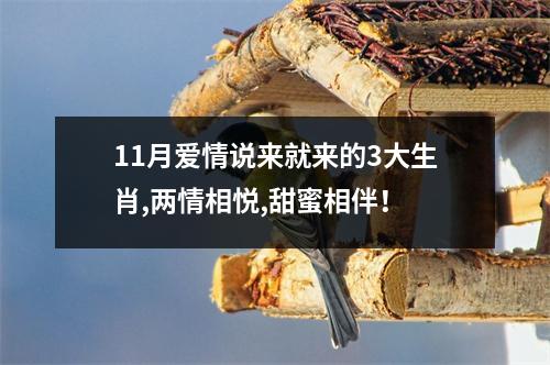 <h3>11月爱情说来就来的3大生肖,两情相悦,甜蜜相伴！