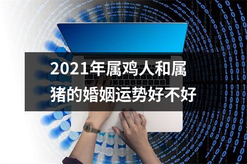 2025年属鸡人和属猪的婚姻运势好不好