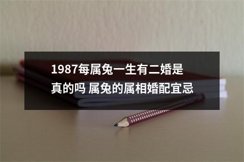 <h3>1987每属兔一生有二婚是真的吗属兔的属相婚配宜忌