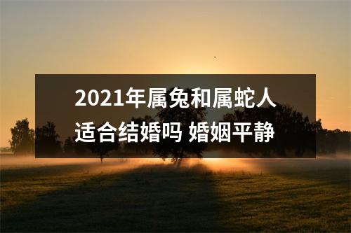 <h3>2025年属兔和属蛇人适合结婚吗婚姻平静