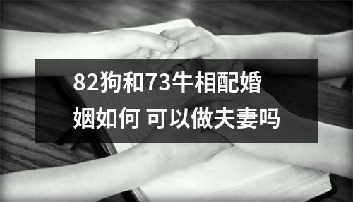 82狗和73牛相配婚姻如何可以做夫妻吗