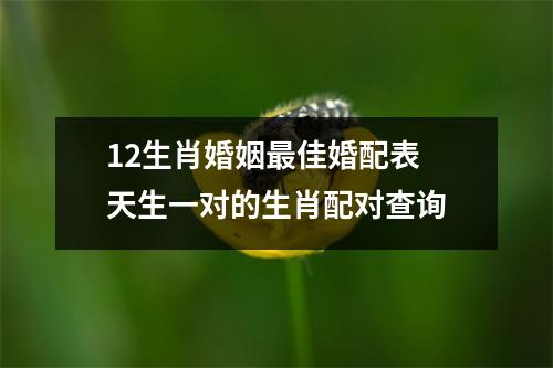 <h3>12生肖婚姻佳婚配表天生一对的生肖配对查询