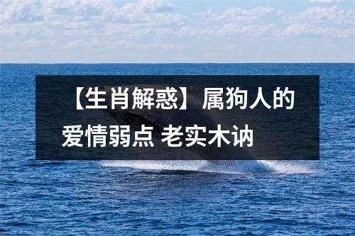 <h3>【生肖解惑】属狗人的爱情弱点老实木讷