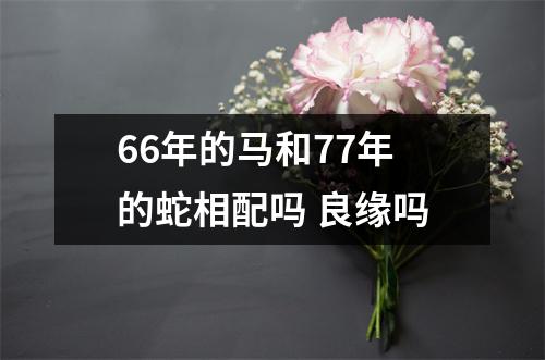 <h3>66年的马和77年的蛇相配吗良缘吗