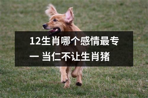 <h3>12生肖哪个感情专一当仁不让生肖猪