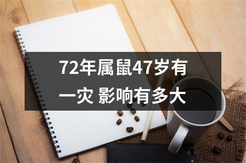 <h3>72年属鼠47岁有一灾影响有多大