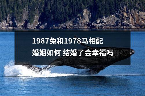 <h3>1987兔和1978马相配婚姻如何结婚了会幸福吗