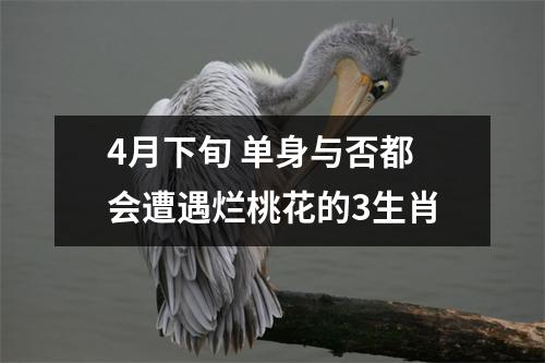 <h3>4月下旬单身与否都会遭遇烂桃花的3生肖