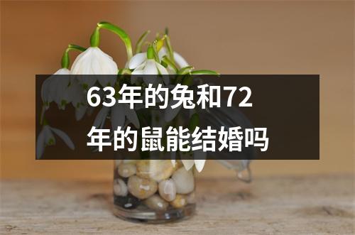 <h3>63年的兔和72年的鼠能结婚吗