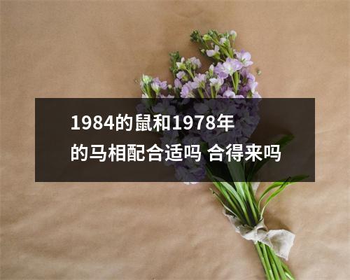 <h3>1984的鼠和1978年的马相配合适吗合得来吗