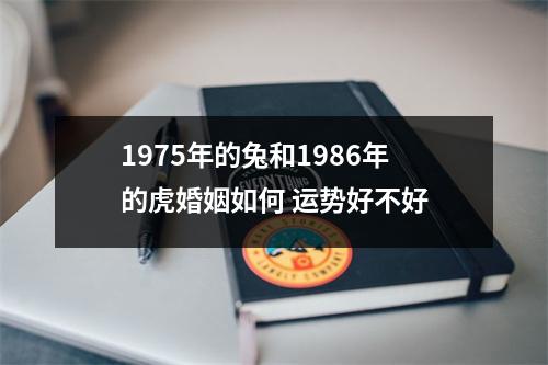 <h3>1975年的兔和1986年的虎婚姻如何运势好不好