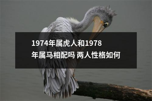 1974年属虎人和1978年属马相配吗两人性格如何