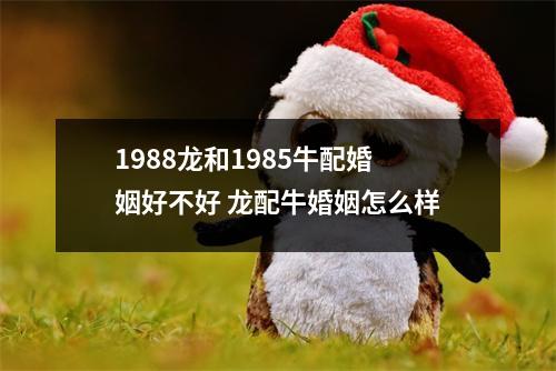 <h3>1988龙和1985牛配婚姻好不好龙配牛婚姻怎么样