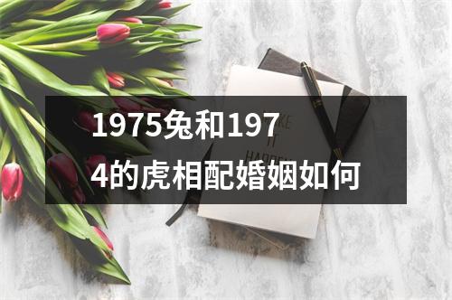 <h3>1975兔和1974的虎相配婚姻如何