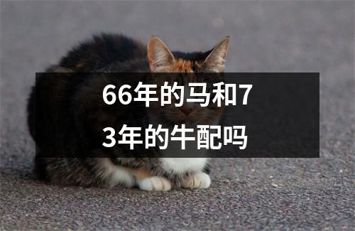 <h3>66年的马和73年的牛配吗