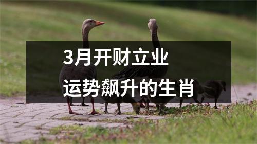 <h3>3月开财立业运势飙升的生肖