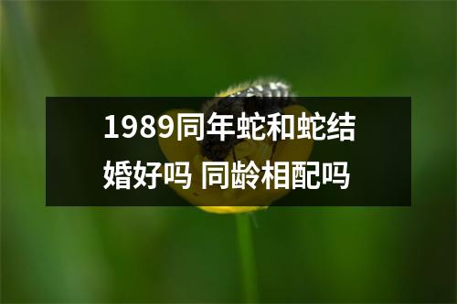 1989同年蛇和蛇结婚好吗同龄相配吗