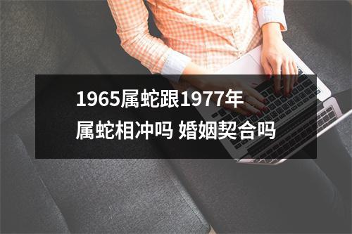 <h3>1965属蛇跟1977年属蛇相冲吗婚姻契合吗