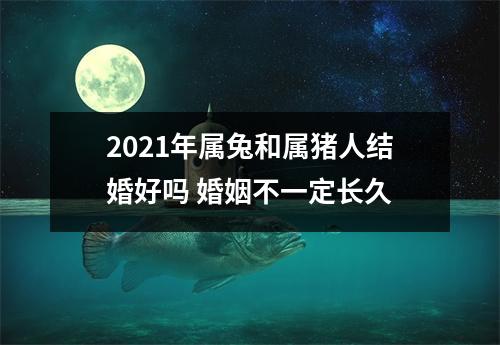 <h3>2025年属兔和属猪人结婚好吗婚姻不一定长久