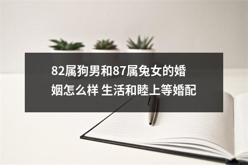 <h3>82属狗男和87属兔女的婚姻怎么样生活和睦上等婚配