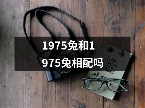 <h3>1975兔和1975兔相配吗