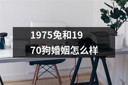 <h3>1975兔和1970狗婚姻怎么样