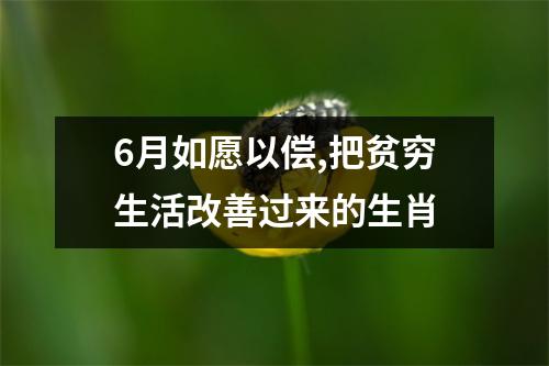 <h3>6月如愿以偿,把贫穷生活改善过来的生肖