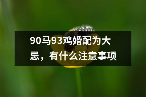 <h3>90马93鸡婚配为大忌，有什么注意事项