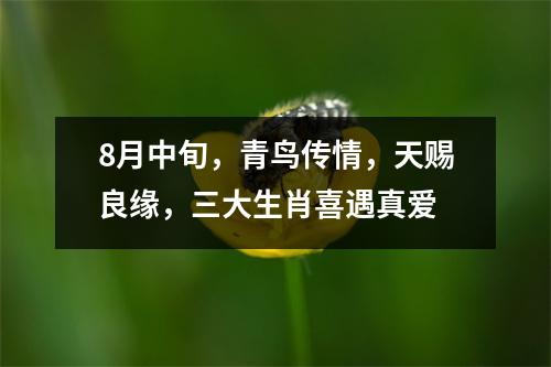 <h3>8月中旬，青鸟传情，天赐良缘，三大生肖喜遇真爱