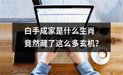 <h3>白手成家是什么生肖竟然藏了这么多玄机？