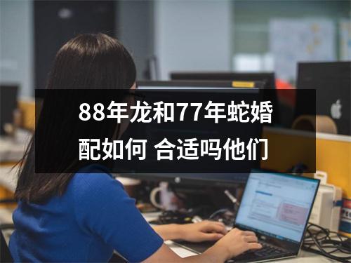 88年龙和77年蛇婚配如何合适吗他们