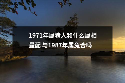 <h3>1971年属猪人和什么属相配与1987年属兔合吗