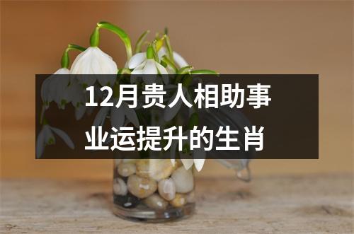 <h3>12月贵人相助事业运提升的生肖