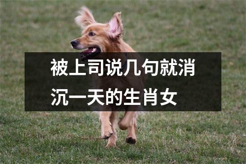 <h3>被上司说几句就消沉一天的生肖女