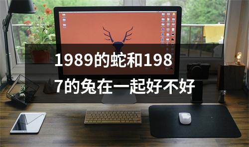 <h3>1989的蛇和1987的兔在一起好不好