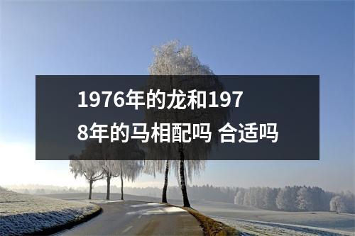 1976年的龙和1978年的马相配吗合适吗