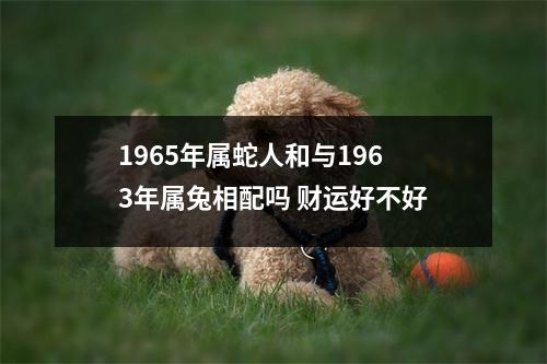 <h3>1965年属蛇人和与1963年属兔相配吗财运好不好