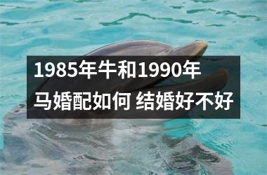 <h3>1985年牛和1990年马婚配如何 结婚好不好