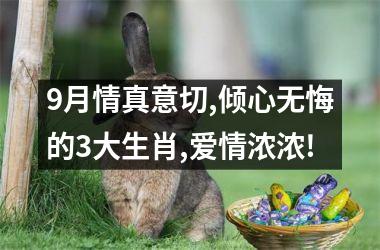 <h3>9月情真意切,倾心无悔的3大生肖,爱情浓浓!