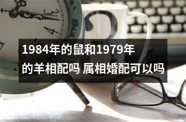 1984年的鼠和1979年的羊相配吗 属相婚配可以吗