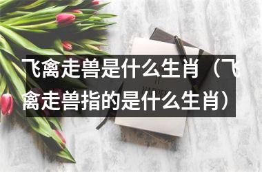 <h3>飞禽走兽是什么生肖（飞禽走兽指的是什么生肖）