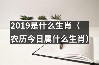 <h3>2019是什么生肖（农历今日属什么生肖）