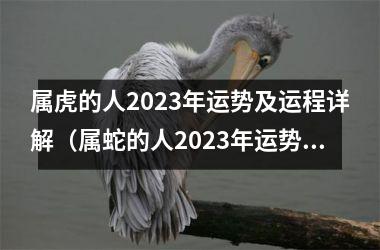 <h3>属虎的人2025年运势及运程详解（属蛇的人2025年运势及运程详解）